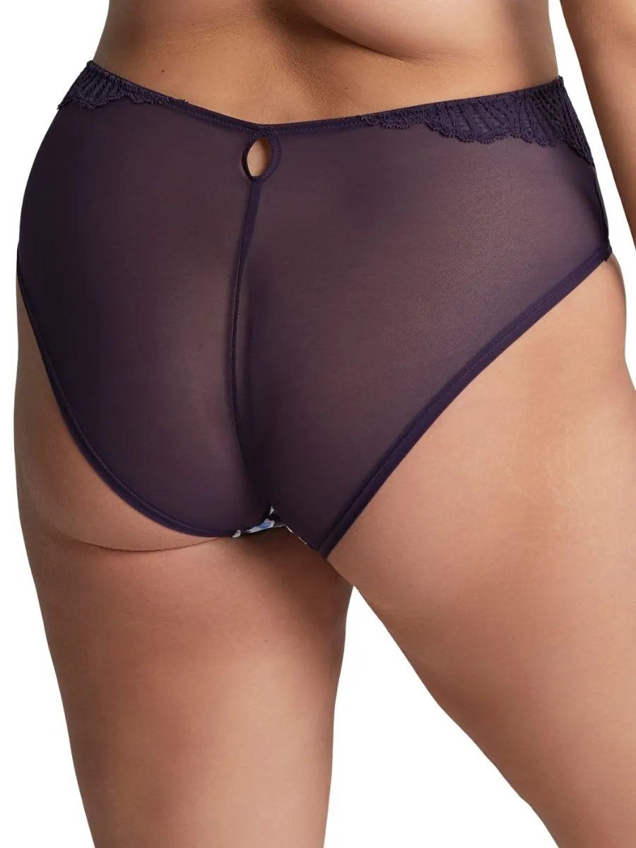 Arianna Deep Brief