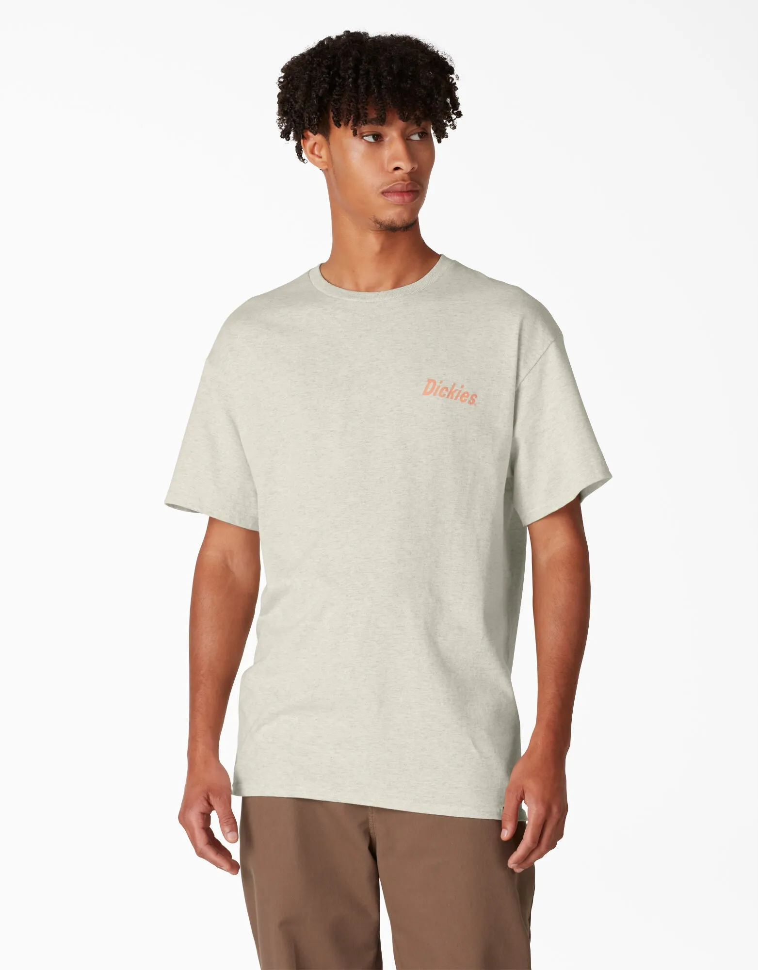 Dickies Skateboarding Split Graphic T-Shirt - Oatmeal Heather