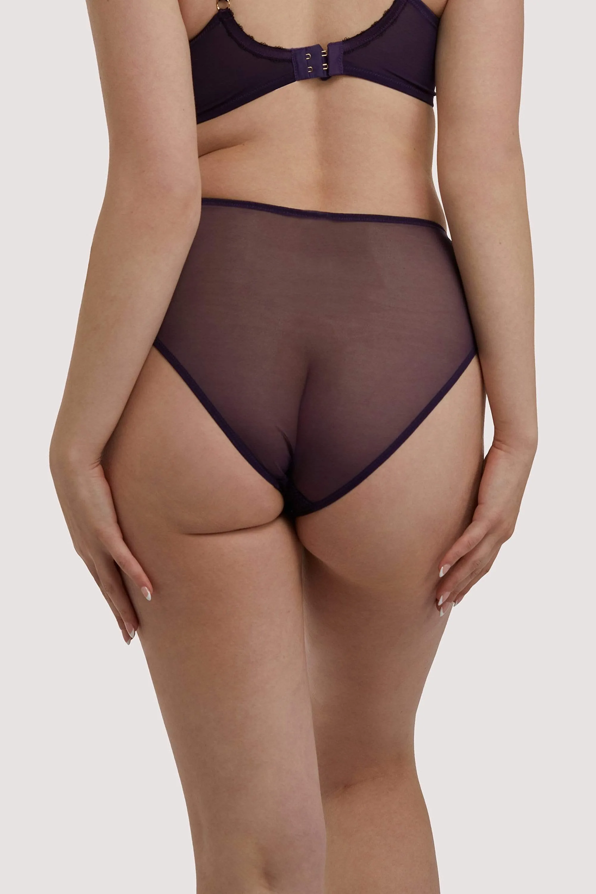 Emma Vine Purple High Waist Brief